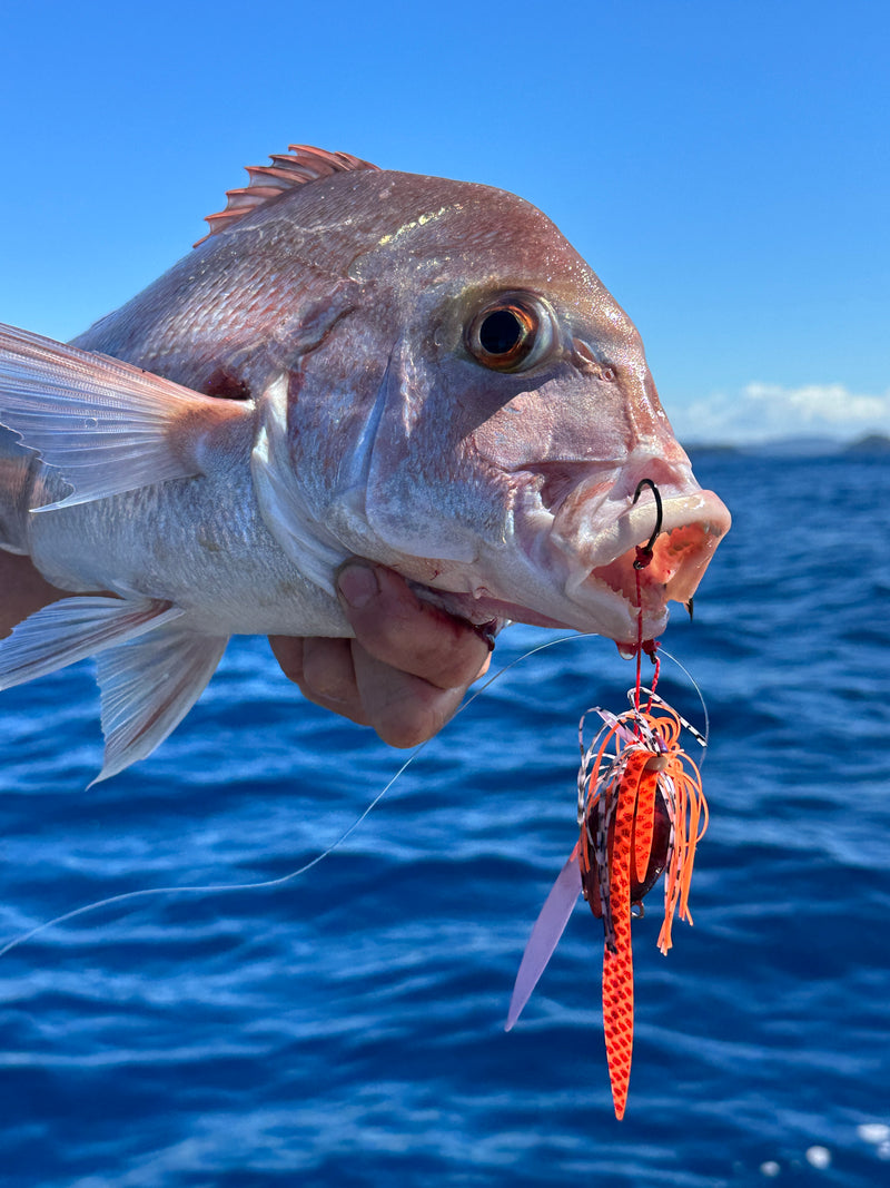 Load image into Gallery viewer, Shimano Lucanus Jig
