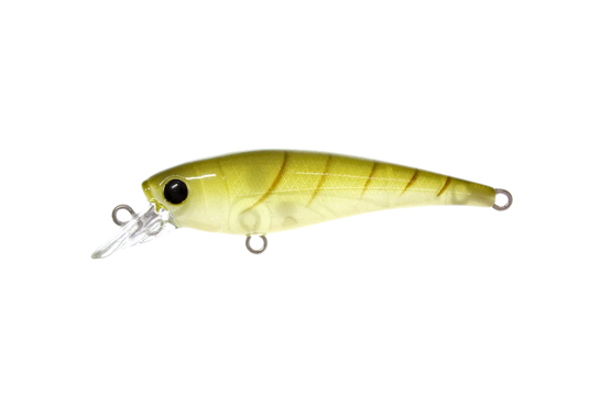 Hurricane Twitch 50 Shallow