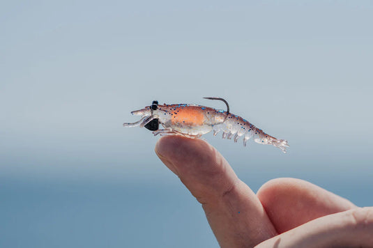 Nomad Live Ops Switcher Shrimp 2.3" - 6 Pack