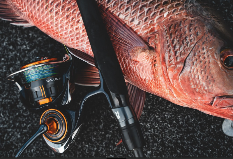 Load image into Gallery viewer, Daiwa 25 TD Sol MQ
