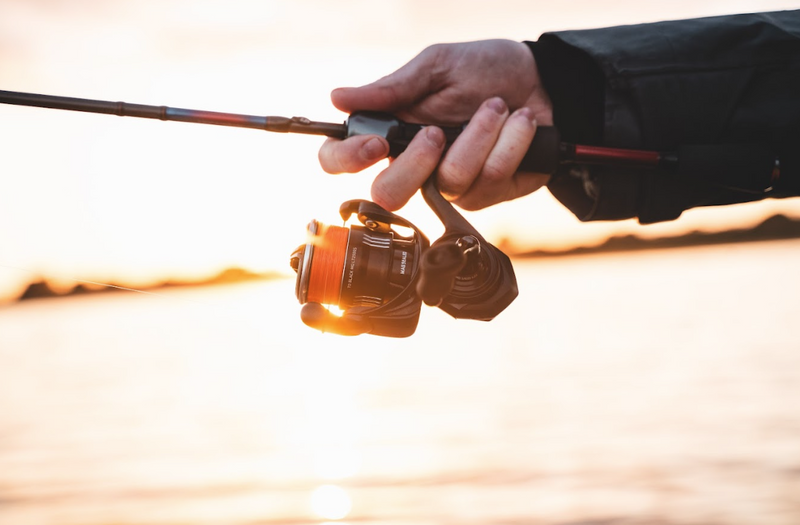 Load image into Gallery viewer, Daiwa 24 TD Black MQ
