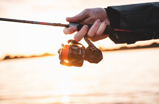 Daiwa 24 TD Black MQ