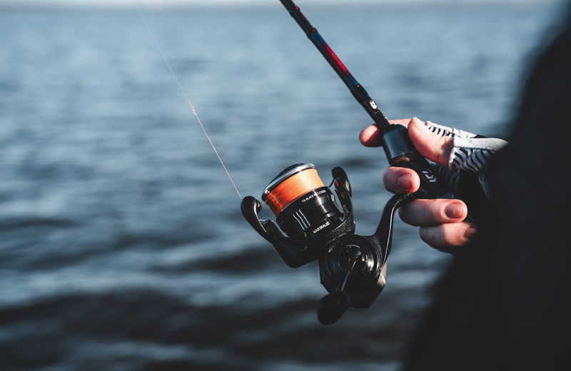 Load image into Gallery viewer, Daiwa 24 TD Black MQ
