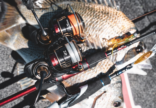 Daiwa 25 Revelry