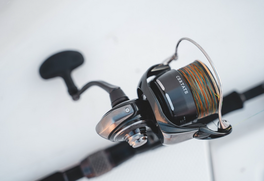 Daiwa 26 Certate HD