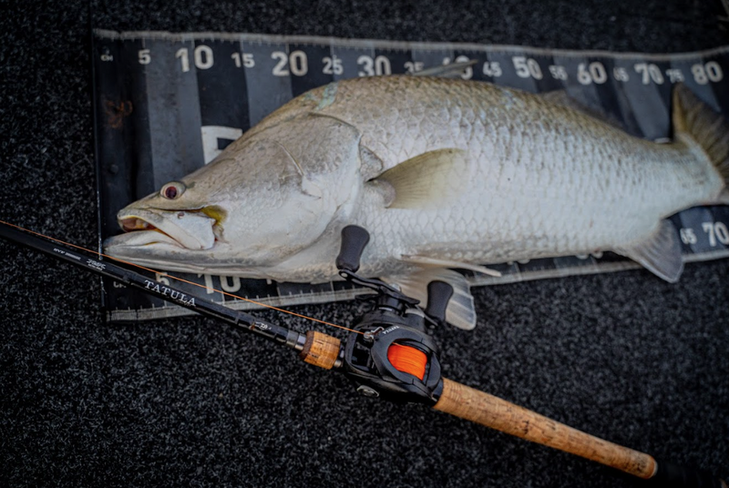 Load image into Gallery viewer, Daiwa 25 Tatula 200
