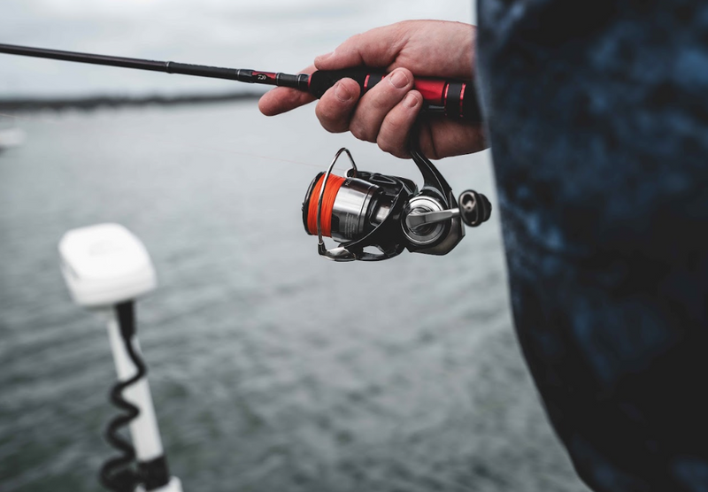 Load image into Gallery viewer, Daiwa 24 Certate FC
