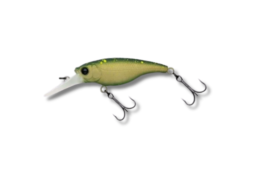 Ecogear SX40F