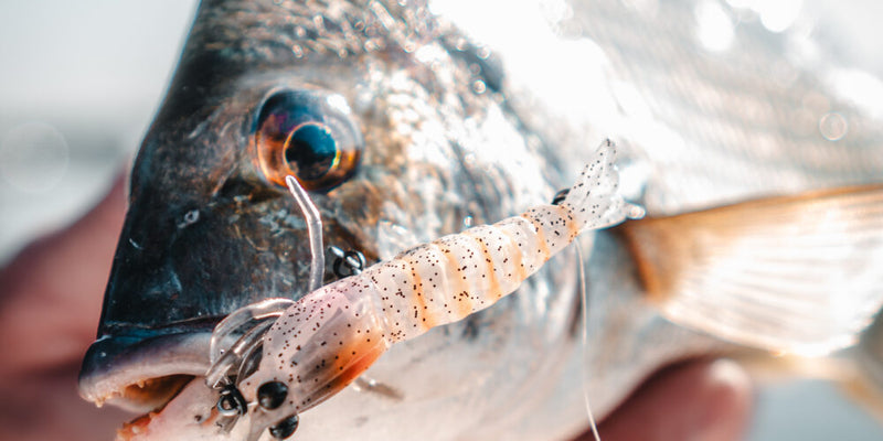 Load image into Gallery viewer, Pro Lure Hybrid Shrimp

