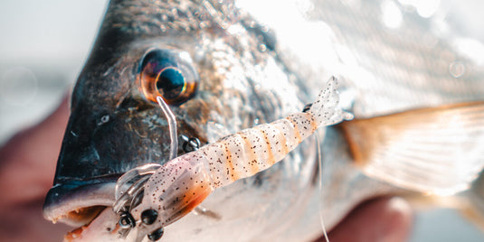 Pro Lure Hybrid Shrimp
