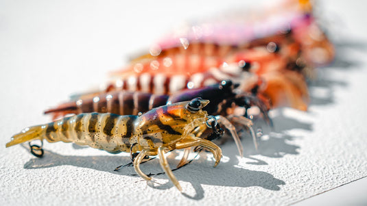 Pro Lure Hybrid Shrimp