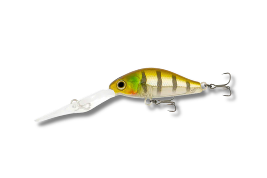 Samaki Redic DS40LC