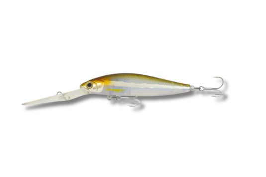 Samaki Redic DS80