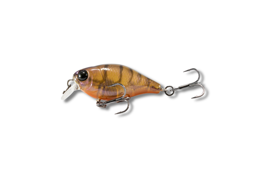 Jackall Chubby 38mm Shallow