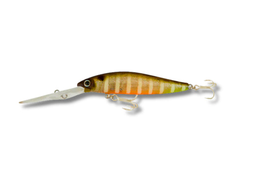 Samaki Redic DS80