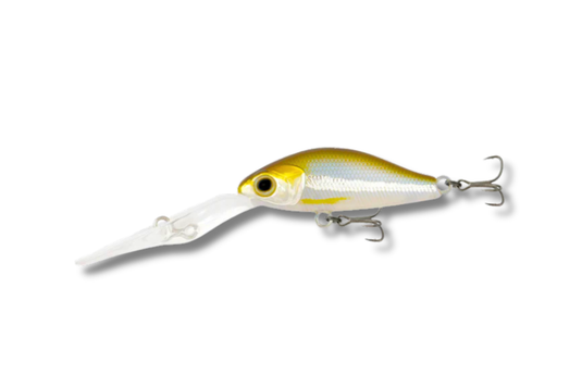 Samaki Redic DS40LC