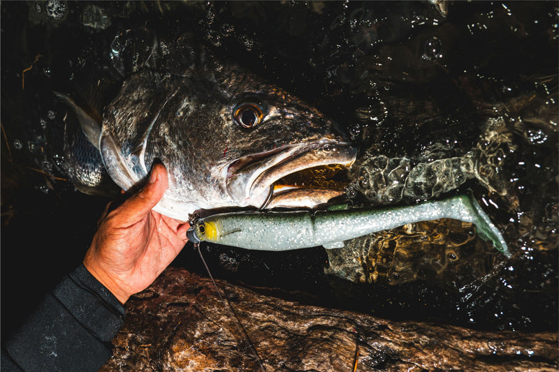 Load image into Gallery viewer, Daiwa Bait Junkie Mega Minnow
