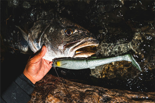 Daiwa Bait Junkie Mega Minnow