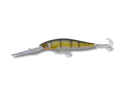 Samaki Redic DS80