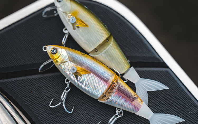 New Daiwa x Matodcachi!