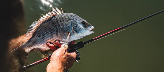 Daiwa 26 Infeet SK