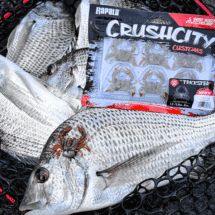 Rapala Crush City 1.5" Trickster