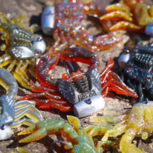 Load image into Gallery viewer, Rapala Crush City 1.5" Trickster
