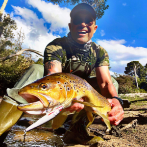 Load image into Gallery viewer, Rapala Floater Elite 85
