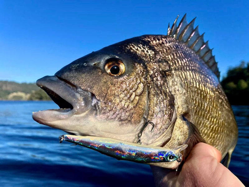 Load image into Gallery viewer, Duo Realis Minnow 80SP
