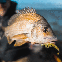 Load image into Gallery viewer, Rapala Crush City Imposter
