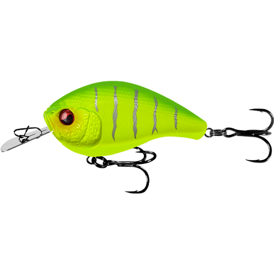 13 Fishing Jabber Jaw