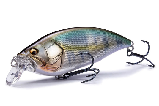 Megabass Big M 2.0