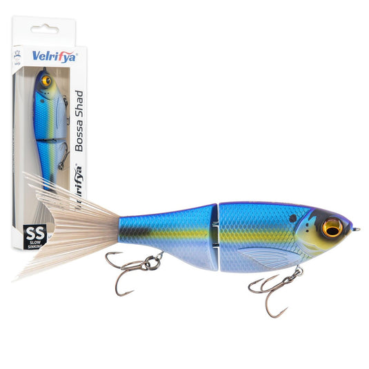 Velrifya Bossa Shad