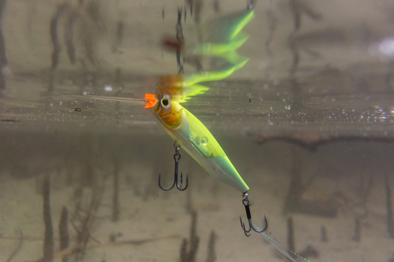 Load image into Gallery viewer, Shimano Ligen Flash Boost
